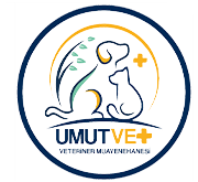 biVet